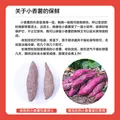 京鲜生天目小香薯净重3斤 单果约50g-150g 产地临安 香甜软糯  源头直发 图片 5