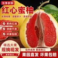 常青娘娘【现货】正宗广西红心蜜柚当季新鲜水果薄皮红肉柚子大果整箱特产 甄选老树【红心蜜柚】更好吃 净重4-4.5斤装【特大果】1-2个装