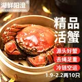 【活蟹】湖鲜阳澄 大闸蟹 去绳足重 1.9-2.2两公母对蟹5对10只 鲜活中秋螃蟹送礼礼盒装 图片 1