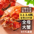 乾澄 大闸蟹 3.1-3.4两 10只 鲜活六月黄