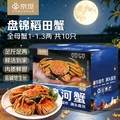 【活蟹】京觅盘锦河蟹网兜稻田蟹 全母10只蟹1-1.3两 中秋礼盒大闸蟹 去绳足重源头直发 图片 1