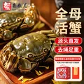 【活蟹】蟹叁钳庄 全母大闸蟹 去绳足重2.3-2.6两 6只鲜活现货螃蟹中秋礼盒 图片 1