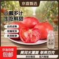 新鲜露天西红柿大番茄沙瓤普罗旺斯新鲜生吃水果番茄云南四川发货 净重 5斤 装（单果100以上） 图片 1