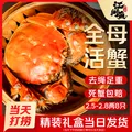【活蟹】江问鱼 大闸蟹全母2.5两-2.8两 8只装 鲜活螃蟹生鲜中秋礼盒过节送礼 图片 1