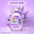 金纺衣物调香大师香氛柔顺护理剂薰衣草16斤持久留香除味防静电除湿味 图片 5