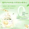 金纺衣物柔顺剂护理剂阳光桔柚2kg 除味防静电 除菌柔顺二合一 图片 4