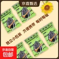大千喜草原黑珍珠瓜子葵花籽五香味独立小包装休闲零食新货炒货 【买10送10】五香口味共20小袋 图片 1