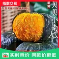 【正宗贝贝南瓜】板栗味小南瓜宝宝辅食代餐新鲜粉糯甜老南瓜批发 贝贝南瓜 10斤 含箱 图片 1