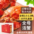 【活蟹】乾澄大闸蟹现货 全母蟹2.0-2.3两 10只 去绳足重鲜活螃蟹海鲜中秋礼盒装 图片 1