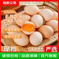 臻选鲜鸡蛋 约40g/枚 30枚净重不低于2.4斤