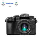 松下（Panasonic）G95微单相机 数码相机 vlog相机 微单套机（12-60mm）4K视频 5轴防抖 2030万像素