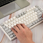 宁芝（NIZ）普拉姆PLUM 静电容键盘机械键盘 有线键盘 码农程序员 办公键盘 84键有线35g