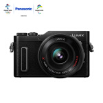 松下（Panasonic）GF10X 微单相机 数码相机 vlog相机 电动镜头微单套机（14-42mm）4K视频 美颜自拍 黑色