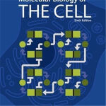 Molecular Biology of the Cell Sixth Edition on 现货