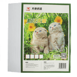 天章 （TANGO）A4铜版纸120g 彩色喷墨铜版名片打印纸 a4喷墨双面高光相片照片彩喷纸 50张/包【仅适用喷墨打印】