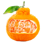 生活＆好管家四川不知火丑橘新鲜水果桔橘子丑柑丑八怪柑橘 4.5-5斤【超划算】净重4.5斤 果径80-85mm【大果】