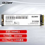 光威（Gloway）512GB SSD固态硬盘 M.2接口(NVMe协议) Basic系列-基础版/五年质保