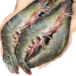 东上御品虾 青岛大虾基围虾鲜活青虾白虾海虾对虾冰虾冻虾生鲜 虾类 海鲜 3斤(净重)  气冻大虾【活虾速冻】 17-21cm【特大虾皇】