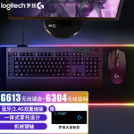 罗技（G）无线机械键盘 游戏电竞 双模无线蓝牙全尺寸可编程欧姆龙轴电脑笔记本键盘鼠标套装 G613无线键盘+G304无线鼠标
