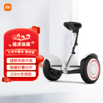 九号平衡车燃动版 定制版Ninebot 智能遥控  智能电动体感车（白）小米 米家