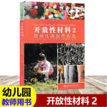 开放性材料系列 （1-3册） 幼儿创造性游戏 婴幼儿创造性游戏 创设文化可持续的环境 南京师范大学出 开放性材料123全3册