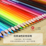 辉柏嘉（Faber-castell）彩铅油性水溶性彩色铅笔绘画套装美术画画工具儿童七夕情人节礼物艺考 【经典热卖】72色（纸盒）油性+72笔帘