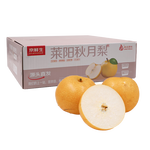 京鲜生 山东莱阳秋月梨  净重3斤 单果250g以上 生鲜水果 源头直发