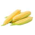佳农宝菜山东新鲜水果玉米带绿皮单根200g+净重4.6斤4-7根源头直发