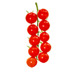 京鲜生 串收樱桃番茄净重2斤 新鲜小番茄西红柿 源头直发