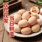 舌尖攻略农家散养谷饲鲜鸡蛋 单枚约40g±5g 营养早餐食材蛋白整箱批发 4枚