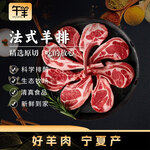 午羊 宁夏滩羊肉 生鲜 新鲜羊排条法式羊排净重600g 炖煮烧烤食材 【法式小切】法式羊排12支