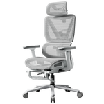 黑白调P3人体工学椅电脑椅办公人工力学座椅学习电竞椅子可躺国家补贴