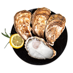 鲜京采 鲜活生蚝5XL 净重5斤 9-12只 鲜活到家 海鲜 源头直发 年货送礼