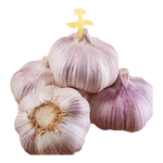 金乡新干蒜新鲜品质生鲜蔬菜调味料金乡农家自种大蒜小果3.5-4.5 【尝鲜】200g8头