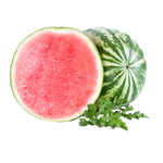 京鲜生 无籽麒麟西瓜 净重5-7斤 1粒生鲜水果源头直发包邮