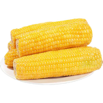 东北真空即食玉米黄糯玉米单根200g起早餐粗粮真便宜整箱批发包邮 真空黄糯玉米4根 单根200g起