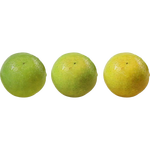 【现摘】广西皇帝柑新鲜贡柑水果柑橘桔子沃柑蜜桔砂糖桔整箱 带箱9斤 60mm+