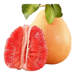 福建平和老树红柚 老少皆宜水果 5-6斤（1-2粒） 皮薄肉厚多汁