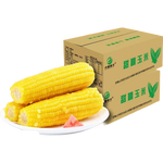 开源保丰东北黄糯玉米真空包装粗粮大棒礼盒低脂新鲜苞米即食代餐 头茬黄糯玉米10支 250g-280g/支