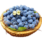 云南蓝莓皇冠蓝莓庄超大果甜蓝莓大蓝莓京东快递送货上门90-115g 小份2盒装（90g-115g/盒） 大果15mm