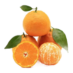 京鲜生 四川春见耙耙柑 净重4.5-5斤年货礼盒 单果170g+ 源头直发包邮