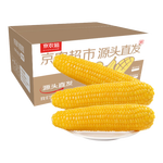 京农超东北糯玉米棒软糯香甜真空包装粘非水果玉米粒黏玉米苞米早餐代餐 黄糯玉米2000g（200g*10支) 产地直发