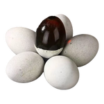 【初产蛋营养高】新鲜鸭蛋无铅皮蛋松花蛋 10枚装（50-60克）中蛋试吃装