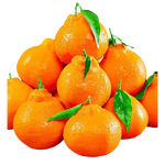 京觅四川春见耙耙柑 4.5斤 单果70mm+ 粑粑柑柑橘生鲜水果 源头直发