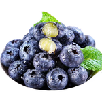正宗云南高原新鲜采摘蓝莓新鲜水果孕妇宝宝辅食花香蓝莓90-115g 蓝莓小果单果15mm+ 高原蓝莓热卖90-115g*2盒装
