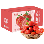 京觅 四川大凉山草莓2盒装 单果13g+ 净重600g 生鲜水果 源头直发