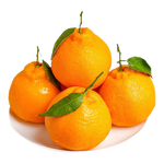 京觅四川春见耙耙柑 4.5斤 单果70mm+ 粑粑柑柑橘生鲜水果 源头直发