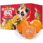 春公子正宗四川春见耙耙柑 新鲜时令水果粑粑柑年货礼盒 柑橘子桔子丑橘 一级果75-85mm净重8-9斤彩箱礼盒装