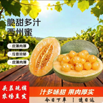 季节集海南哈密瓜西州蜜 源头直发包邮B 畅享2-3个5斤装——净重4.5斤