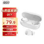 QCY T17 真无线蓝牙耳机5.1 超长续航高清通话降噪跑步运动 迷你入耳式 全手机通用 白色